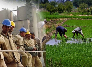 Agricultural and Labours