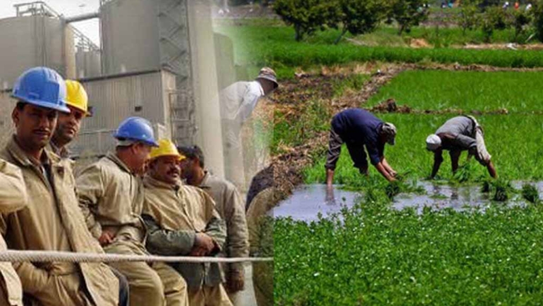 Agricultural and Labours